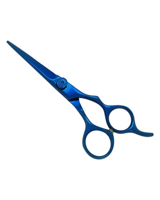 Professional Hair Cutting Scissors