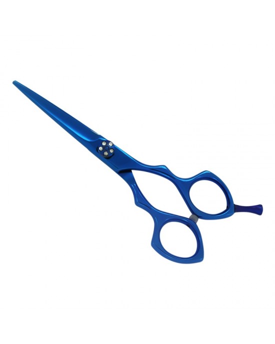 Professional Hair Cutting Scissors