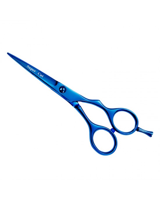 Professional Hair Cutting Scissors