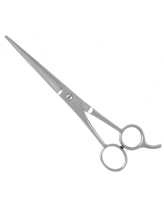 Economy Hair Scissors