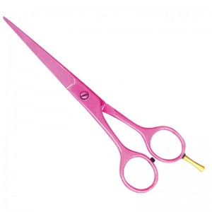 Economy Hair Scissors