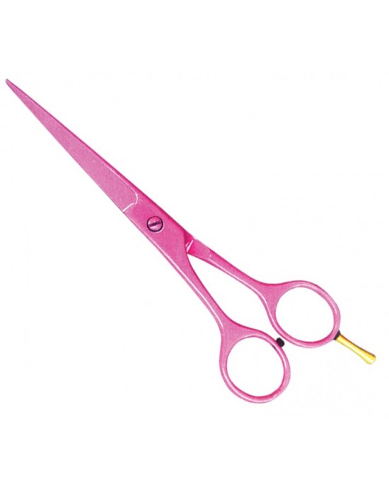 Economy Hair Scissors