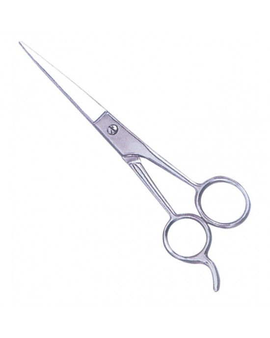 Economy Hair Scissors