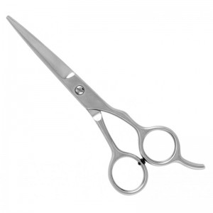 Economy Hair Scissors