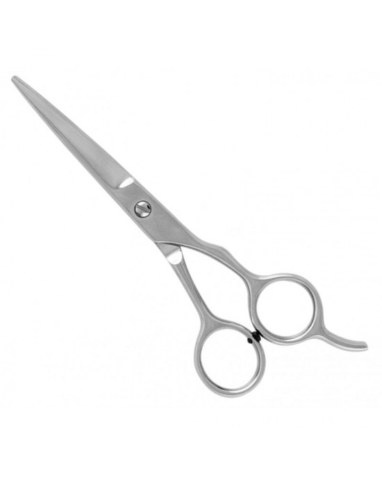 Economy Hair Scissors