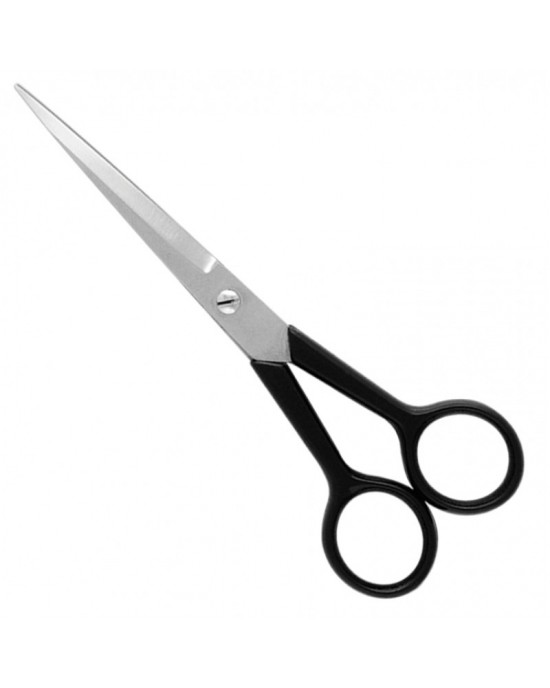 Economy Hair Scissors