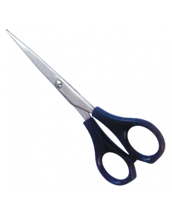Economy Hair Scissors