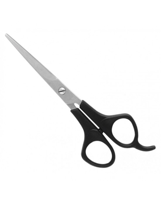 Economy Hair Scissors