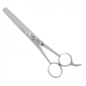 Economy Hair Scissors