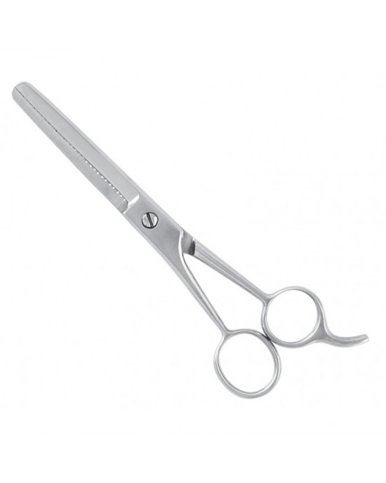 Economy Hair Scissors
