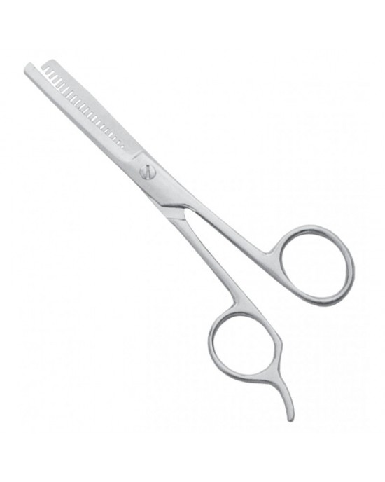 Economy Hair Scissors