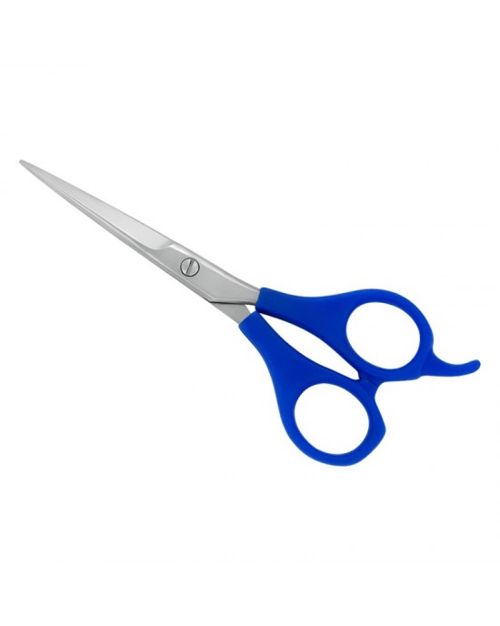 Plastic Handle Scissors
