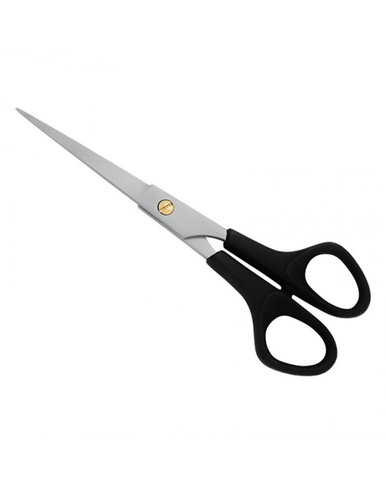Plastic Handle Scissors