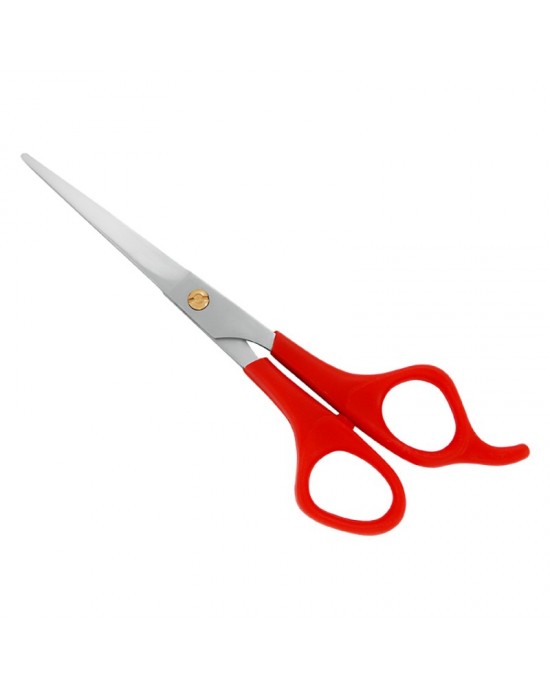 Plastic Handle Scissors