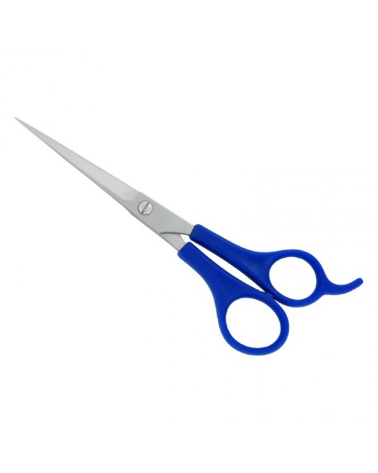 Plastic Handle Scissors