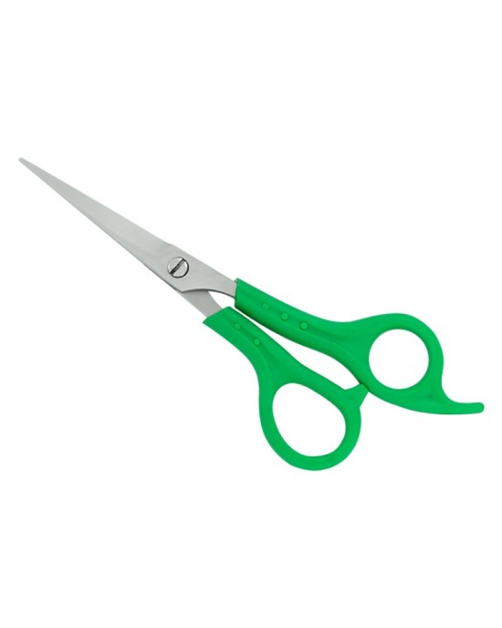 Plastic Handle Scissors