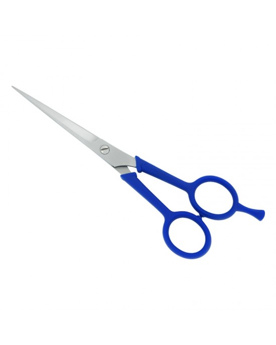 Plastic Handle Scissors