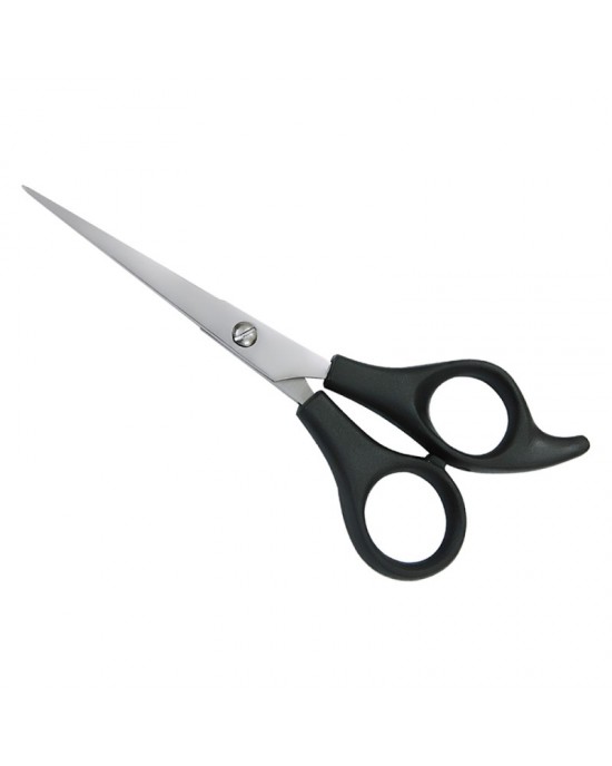 Plastic Handle Scissors