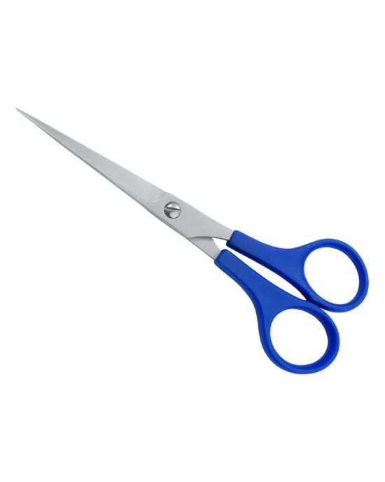 Plastic Handle Scissors