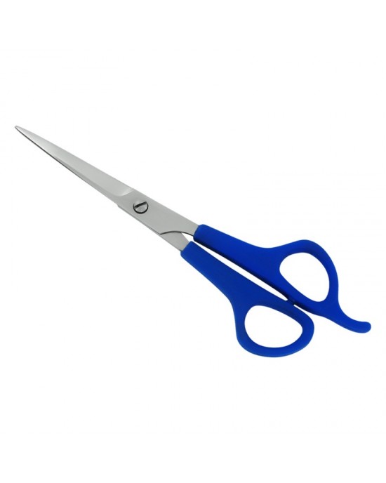Plastic Handle Scissors