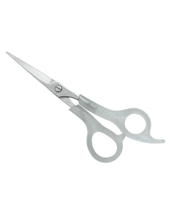 Plastic Handle Scissors