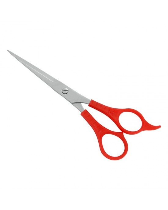 Plastic Handle Scissors
