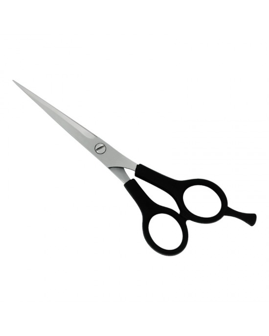 Plastic Handle Scissors