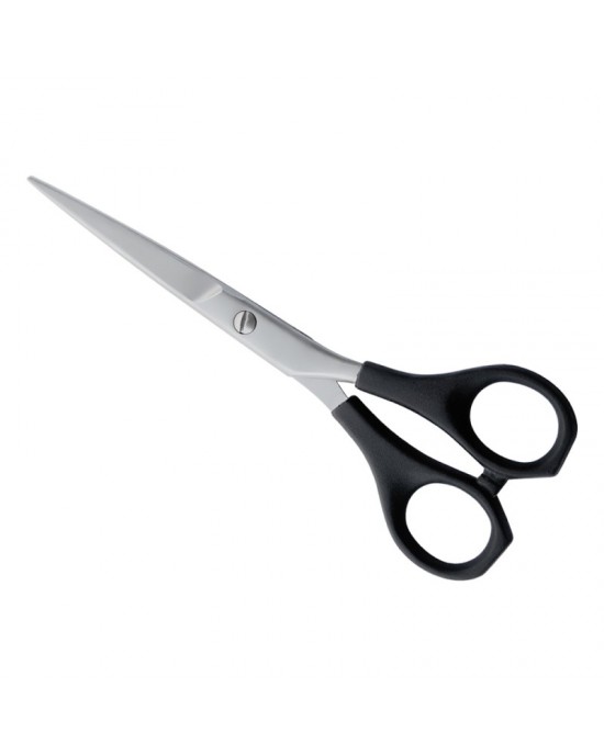 Plastic Handle Scissors
