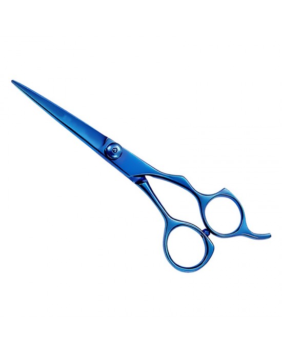 Professional Hair Cutting Scissors
