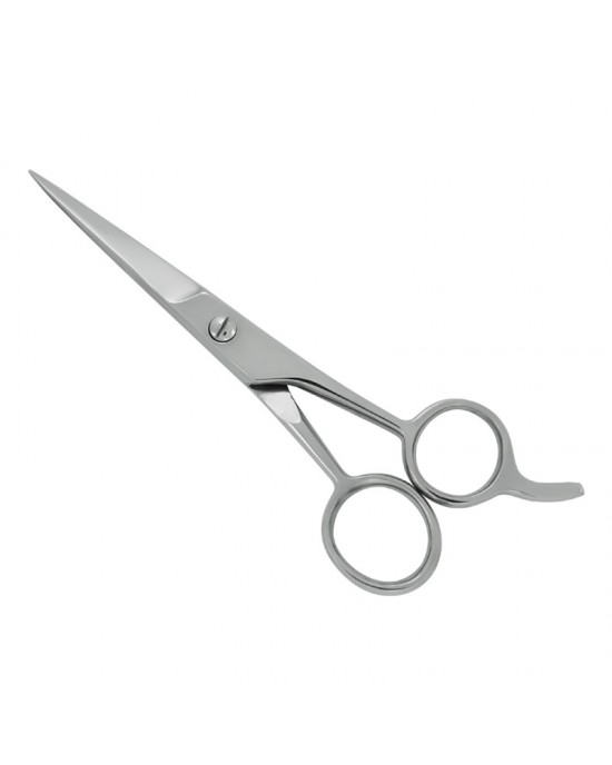 Professional Hair Cutting Scissors