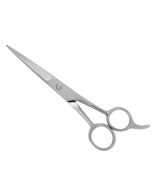 Professional Hair Cutting Scissors