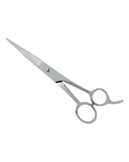 Professional Hair Cutting Scissors