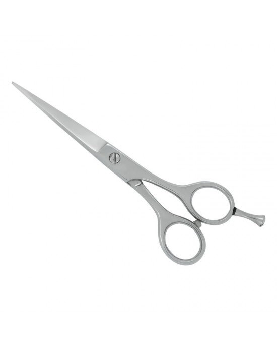 Professional Hair Cutting Scissors