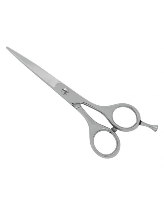 Professional Hair Cutting Scissors