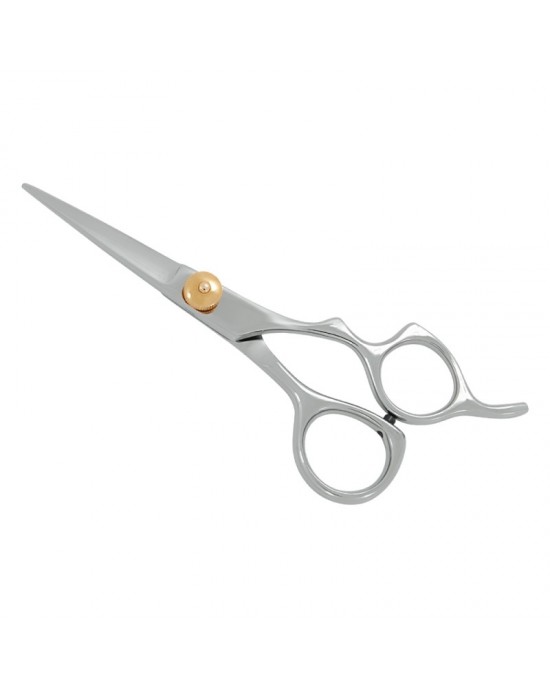 Professional Hair Cutting Scissors
