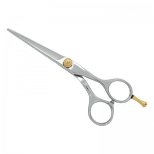 Professional Hair Cutting Scissors