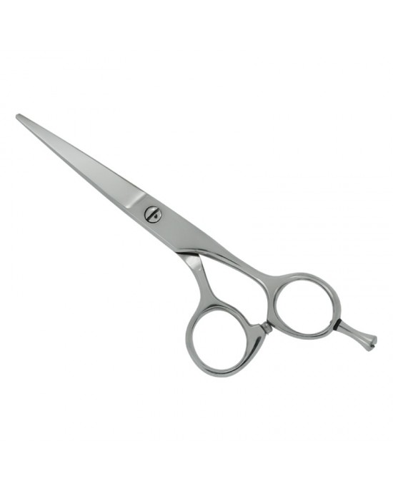 Professional Hair Cutting Scissors