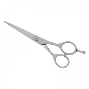 Professional Hair Cutting Scissors