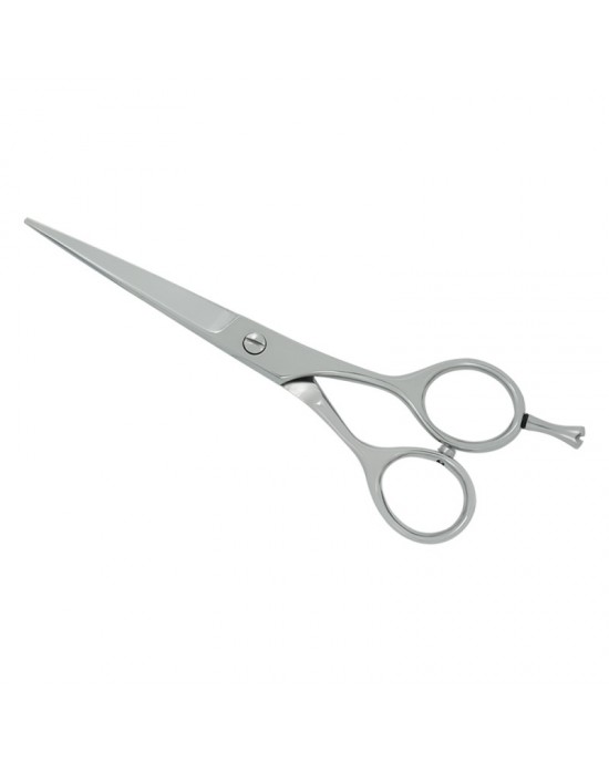 Professional Hair Cutting Scissors