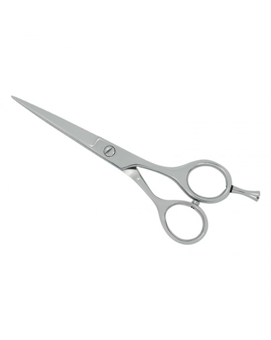 Professional Hair Cutting Scissors
