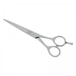 Professional Hair Cutting Scissors