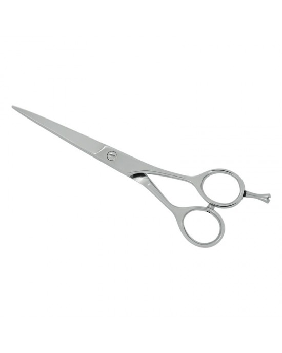 Professional Hair Cutting Scissors