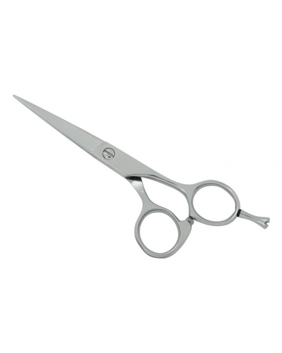 Professional Hair Cutting Scissors