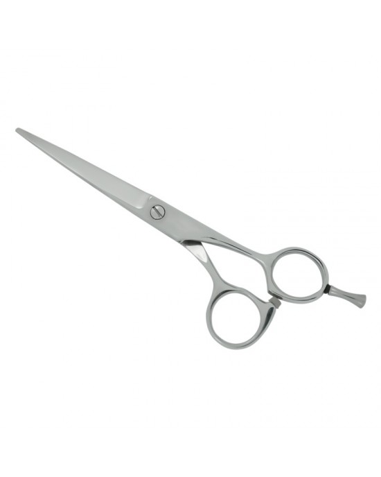Professional Hair Cutting Scissors