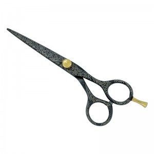 Professional Hair Cutting Scissors