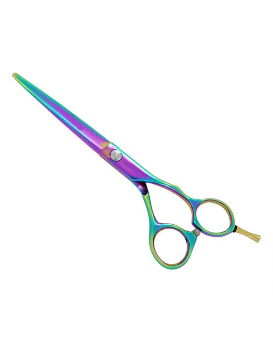 Professional Hair Cutting Scissors
