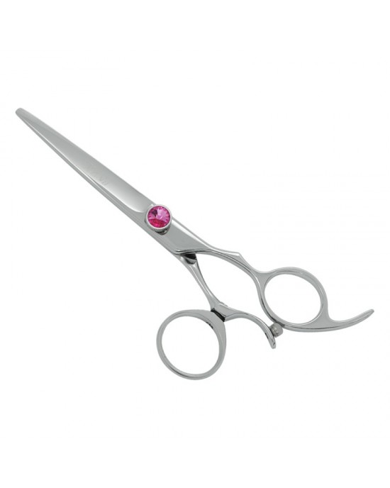 Professional Hair Cutting Scissors
