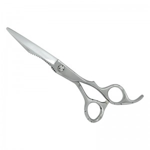 Professional Hair Cutting Scissors