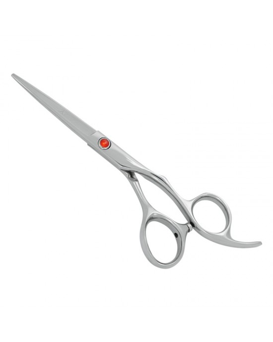Professional Hair Cutting Scissors