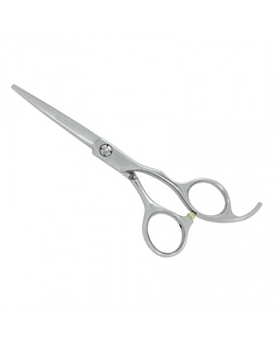 Professional Hair Cutting Scissors
